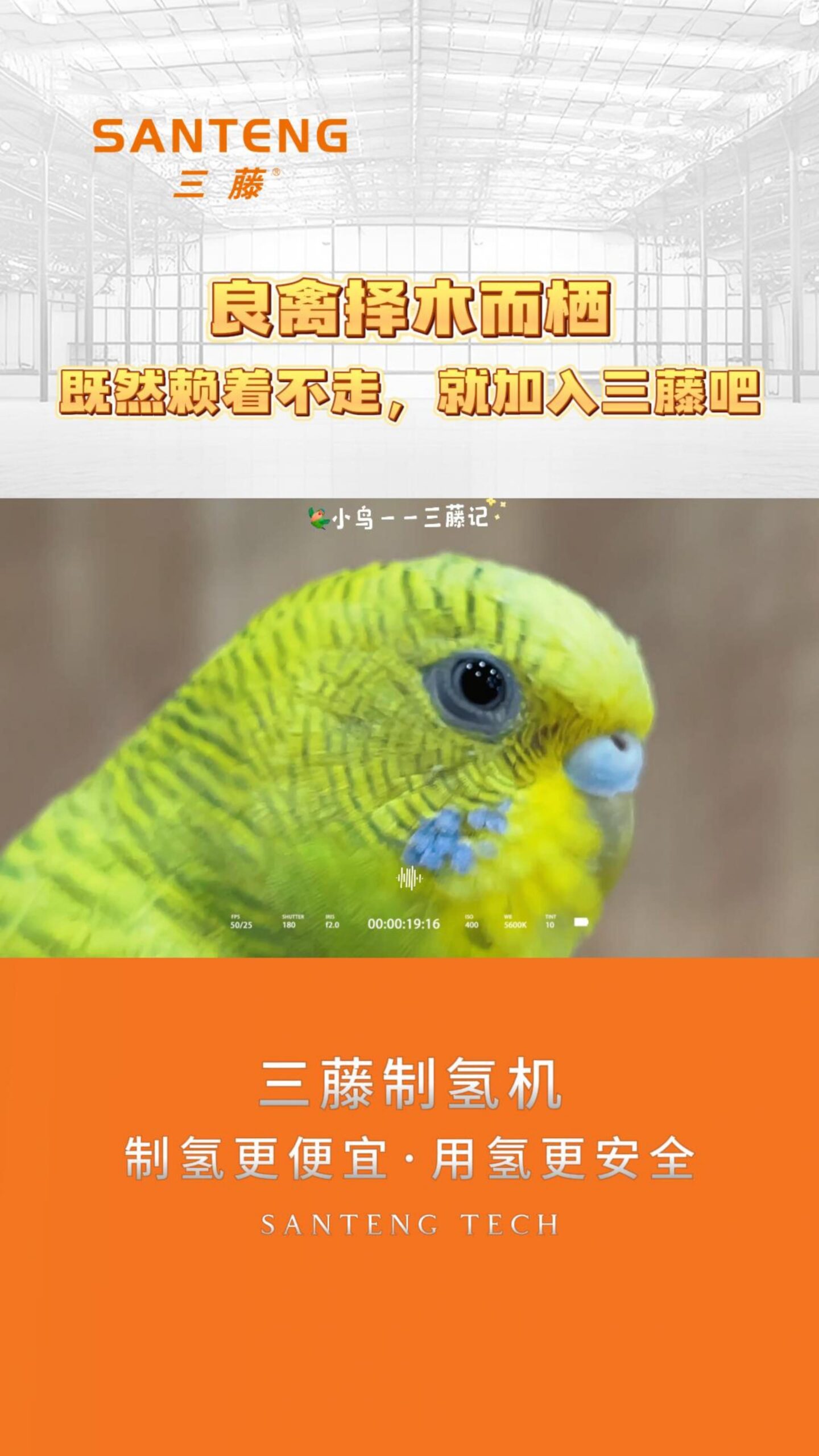 产品视频  -4-